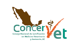 images-Photoroom (1)